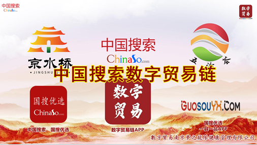 中国搜索数字贸易链