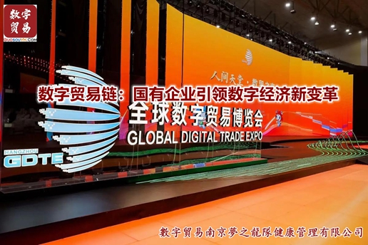 数字贸易链：国有企业引领数字经济新变革