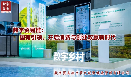数字贸易链：国有引领，开启消费与创业双赢新时代