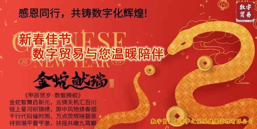 新春佳节 数字贸易与您温暖陪伴